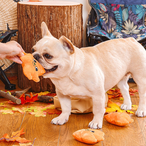 Leaf Bag Hide-a-Toy