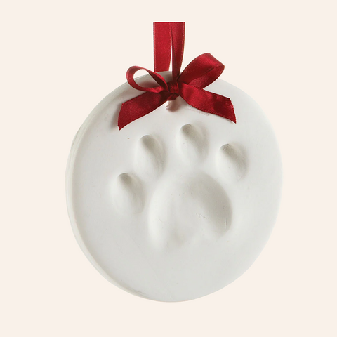 Holiday Paw Print Ornament Kit