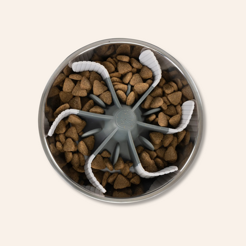 Universal Slow Feeder Bowl Insert with Suction Cups