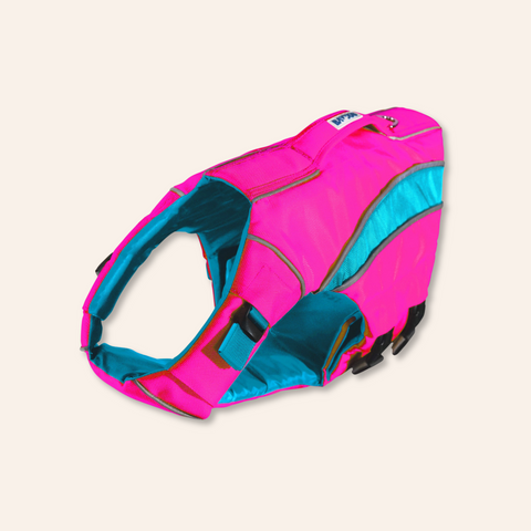 Monterey Bay Dog Life Jacket