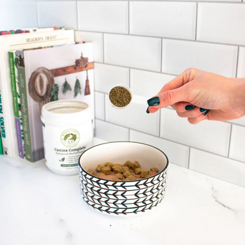 Canine Complete Multivitamin | Organic Pumpkin Flavor