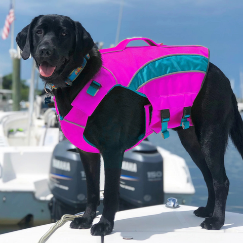 Monterey Bay Dog Life Jacket