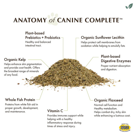 Canine Complete Multivitamin | Organic Pumpkin Flavor