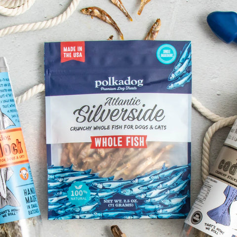 Polkadog Atlantic Silverside Fish