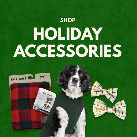 Holiday Accessories