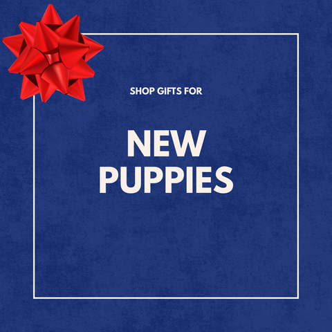 Holiday Gifts for New Puppies