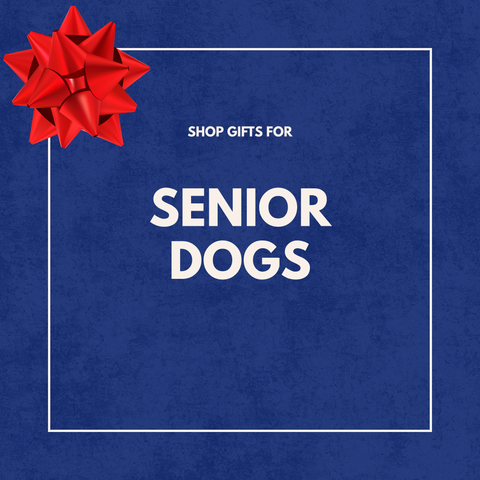 Holiday Gifts for Senior Pups