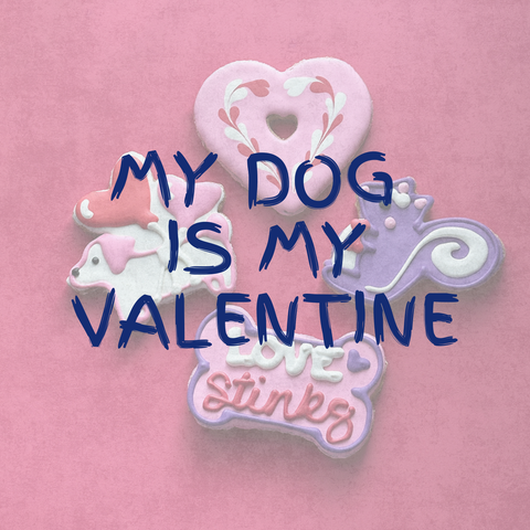 Valentine's Day Picks