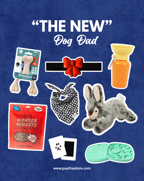 "The New" Dog Dad