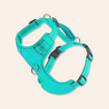 Chesapeake Bay Dog Harness: Sea Foam