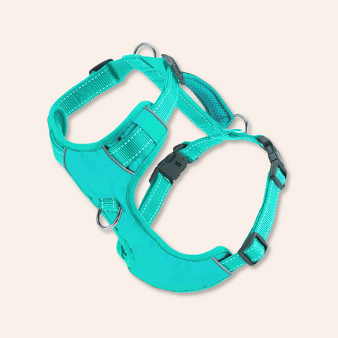 Chesapeake Bay Dog Harness: Sea Foam