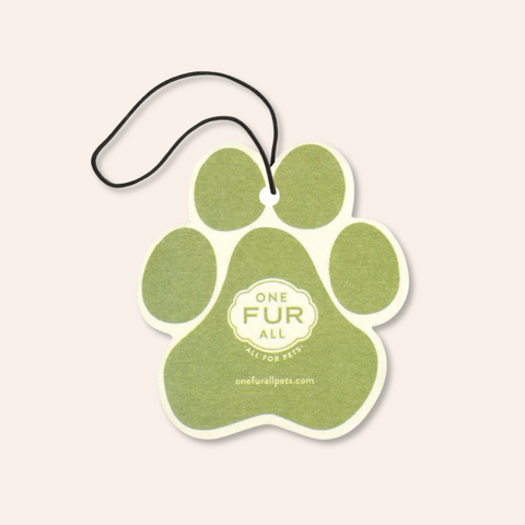 Fresh Citrus Car Air Freshener