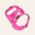 Chesapeake Bay Dog Harness: Sunset Pink