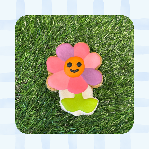 Rainbow Daisy | Spring Bloom Gourmet Dog Cookie