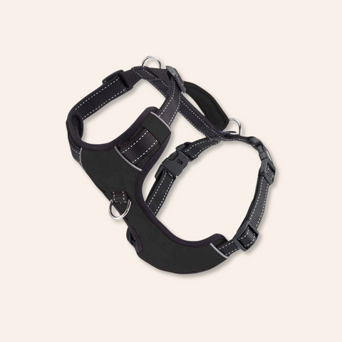 Chesapeake Bay Dog Harness: Covert Black