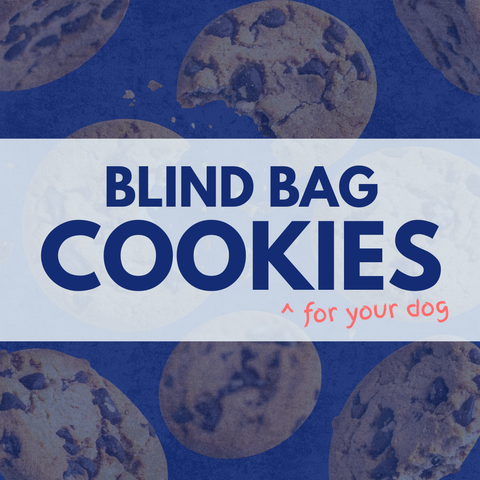 Blind Bag Cookie