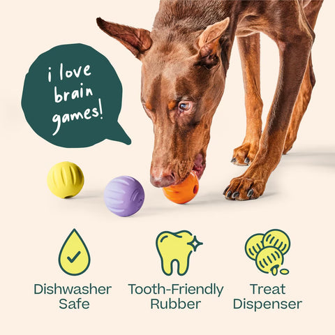 Flyball Forager: Yellow