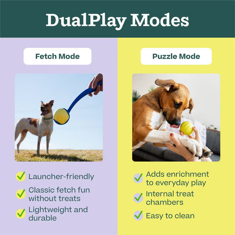 Flyball Forager: Yellow