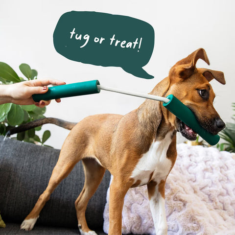 Nomchucks Forager Treat & Tug Toy