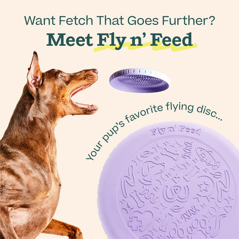 Fly n' Feed