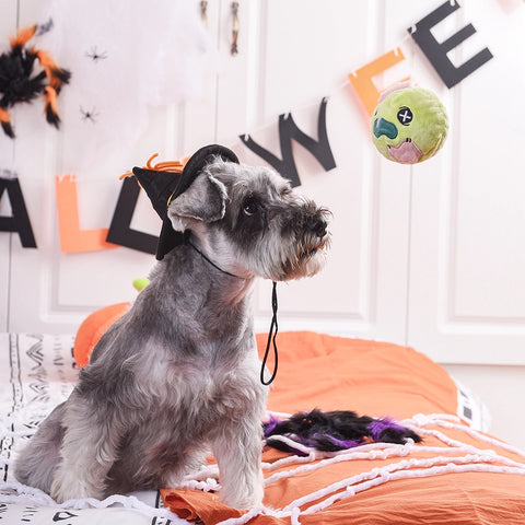 Zombie Halloween Ball Dog Toy