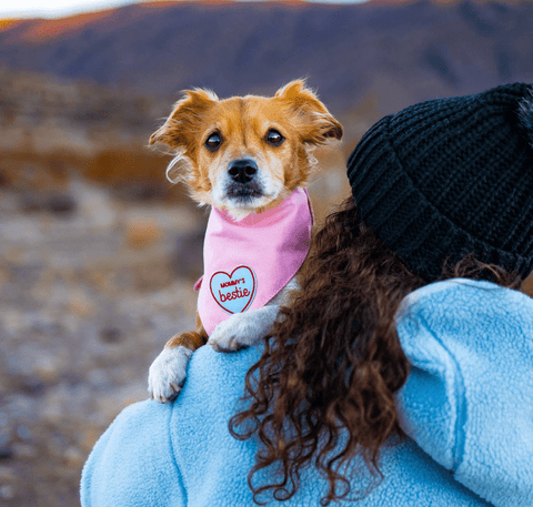 Mommy’s Bestie  | Iron-On Patch For Dogs and Cats