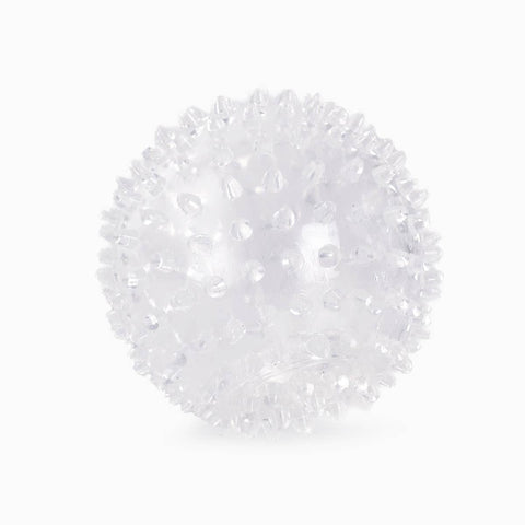 Spider Dog Ball Toy