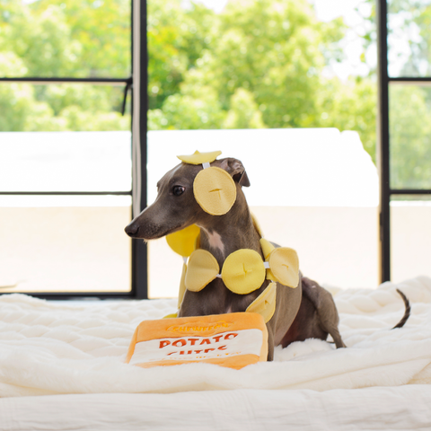 Potato Chips Interactive Snuffle Toy