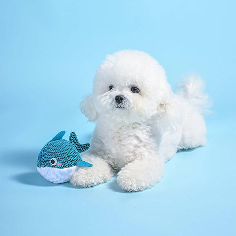 Dolphin Floating 2-in-1 Dog Ball Toy