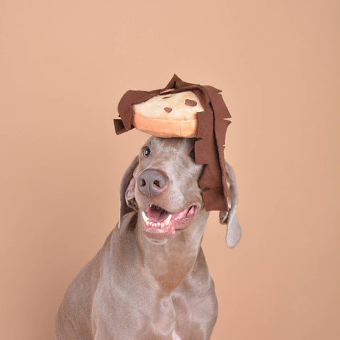 Chocolate Chip Cookie Interactive Snuffle Toy