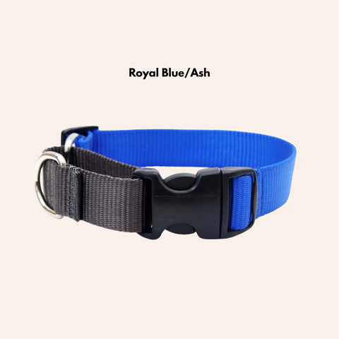 Custom Two-Toned Nylon Martingale Quick Release Dog Collar