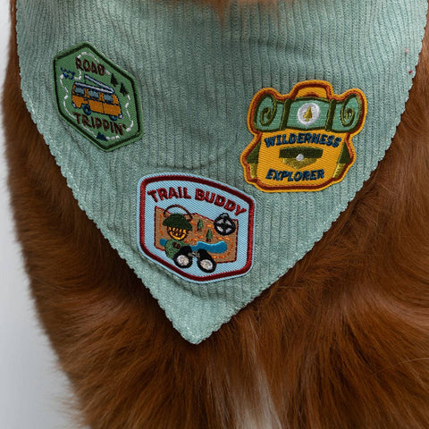 Trail Buddy | Iron-On Patch For Dogs and Cats