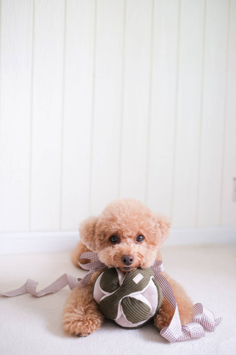 Monti Snuffle Ball | Pine