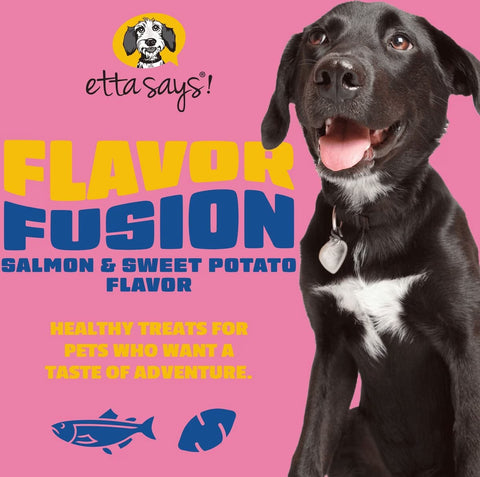 Etta Says Flavor Fusion - Salmon & Sweet Potato - 2oz