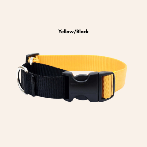 Custom Two-Toned Nylon Martingale Quick Release Dog Collar