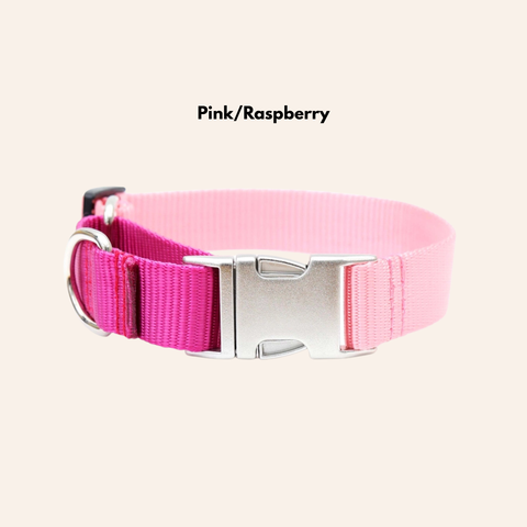 Custom Two-Toned Nylon Martingale Quick Release Dog Collar