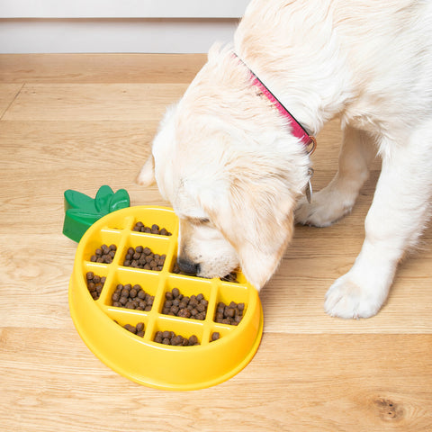 Happy Bowls - Pineapple Slow Feeder Bowl