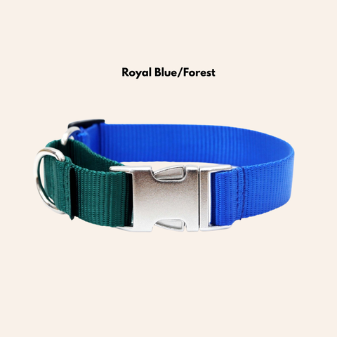 Custom Two-Toned Nylon Martingale Quick Release Dog Collar