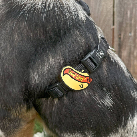 Sup Dog Jiby Dog Charm