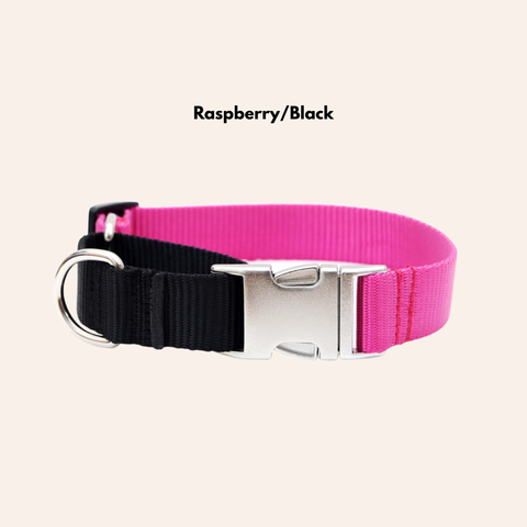 Custom Two-Toned Nylon Martingale Quick Release Dog Collar