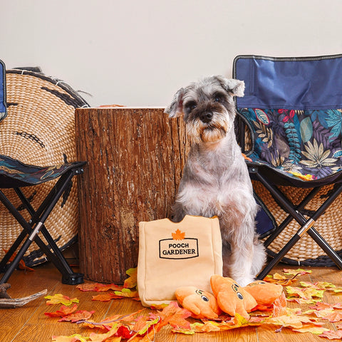 Leaf Bag Hide-a-Toy