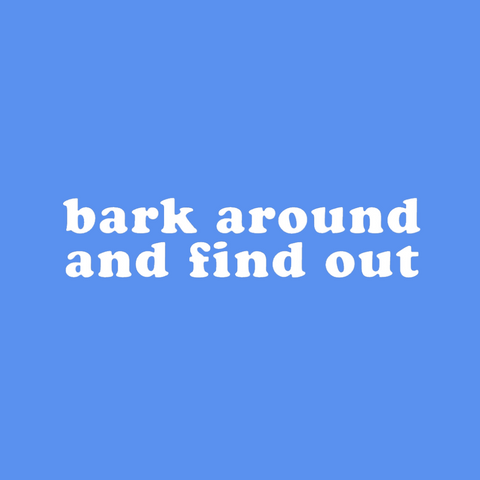 Bark Around and Find Out Decal