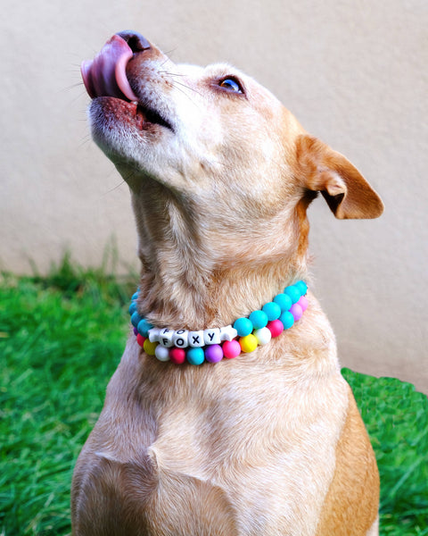 Custom Friendship Bracelet Dog Collar