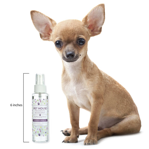 Pumpkin Spice Room Spray | Pet Safe Room Spray