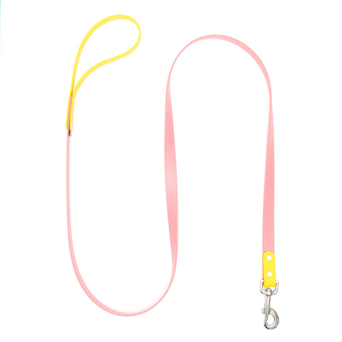 Custom Waterproof Biothane Dog Leash