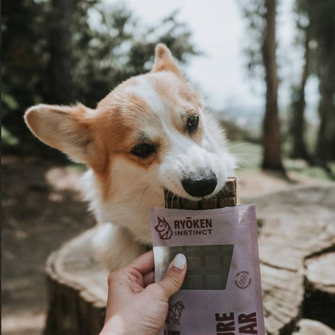 Ryōken Instinct Adventure Bar | Lamb