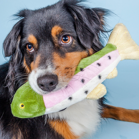 Burt the Lake Trout | Fluff & Tuff Dog Toy