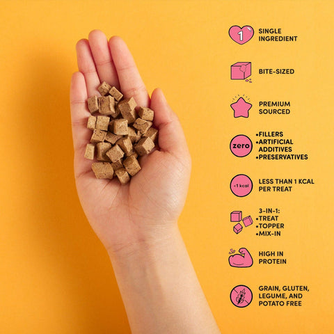 Beef Liver | Teeny Tiny Treats