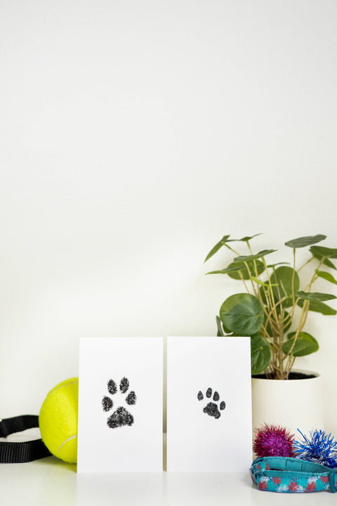 Pet Pawprint Clean-Touch Ink Pad