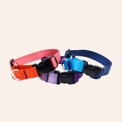 Custom Two-Toned Nylon Martingale Quick Release Dog Collar